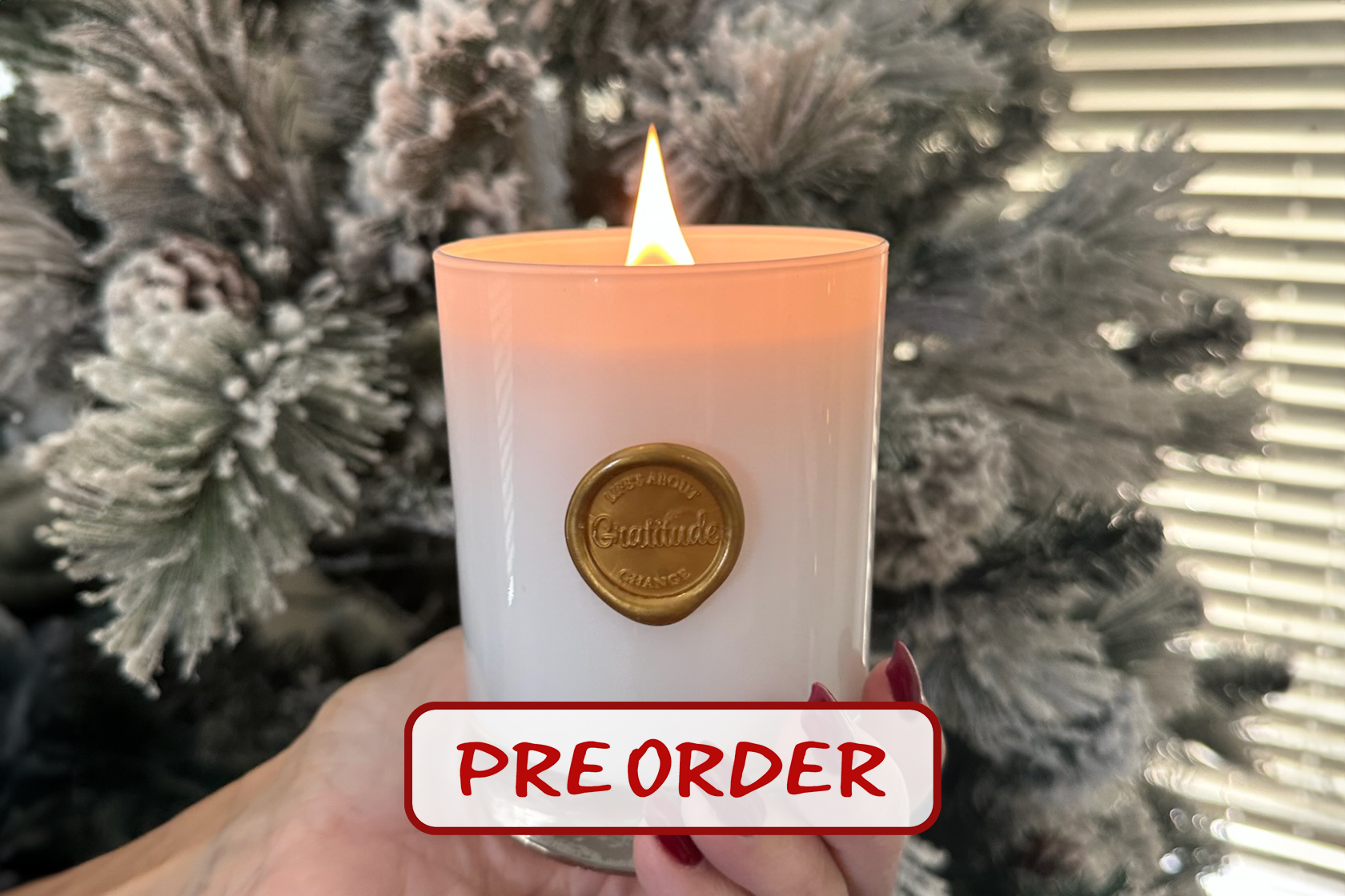 *Preorder* Gratitude