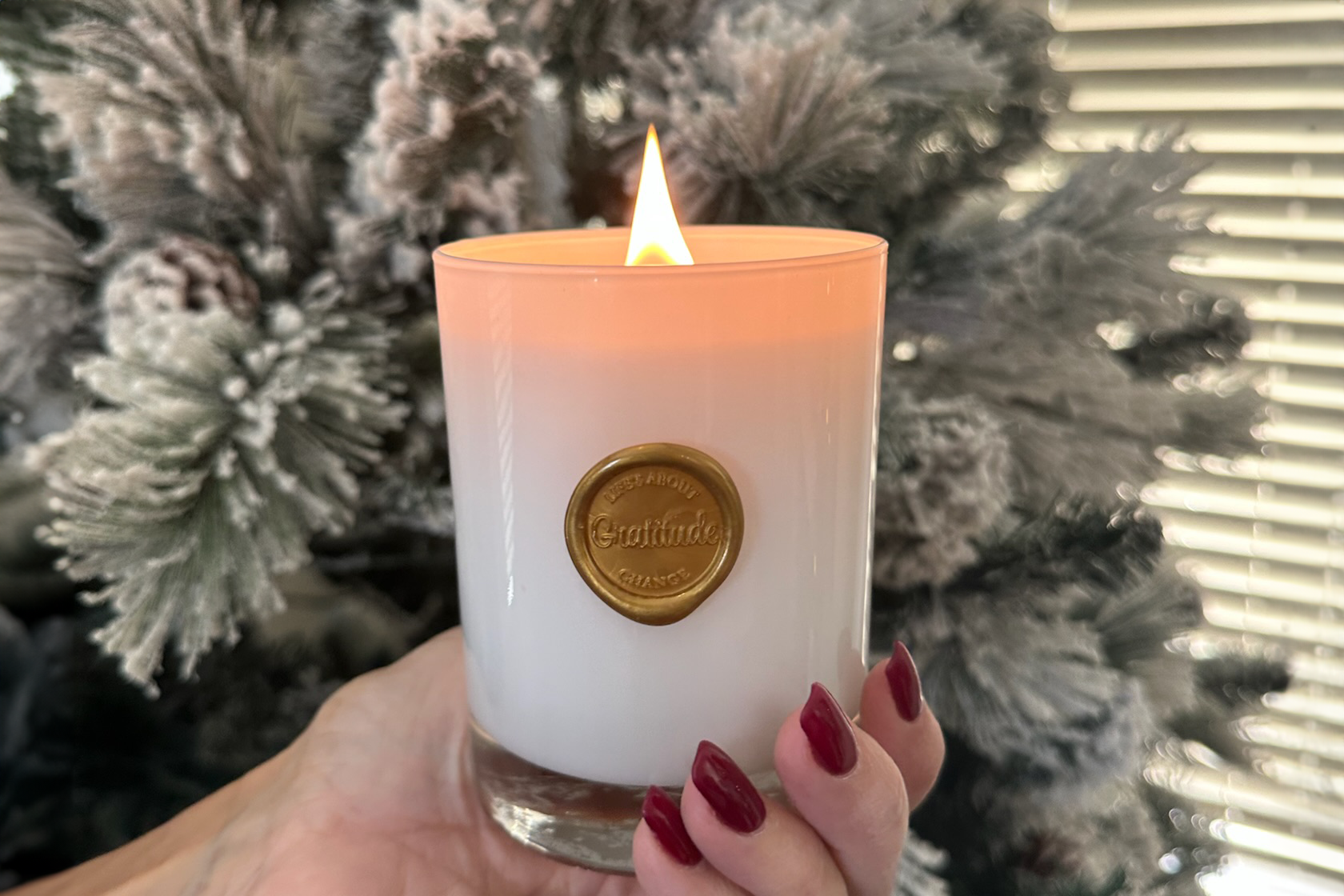 *Preorder* Gratitude