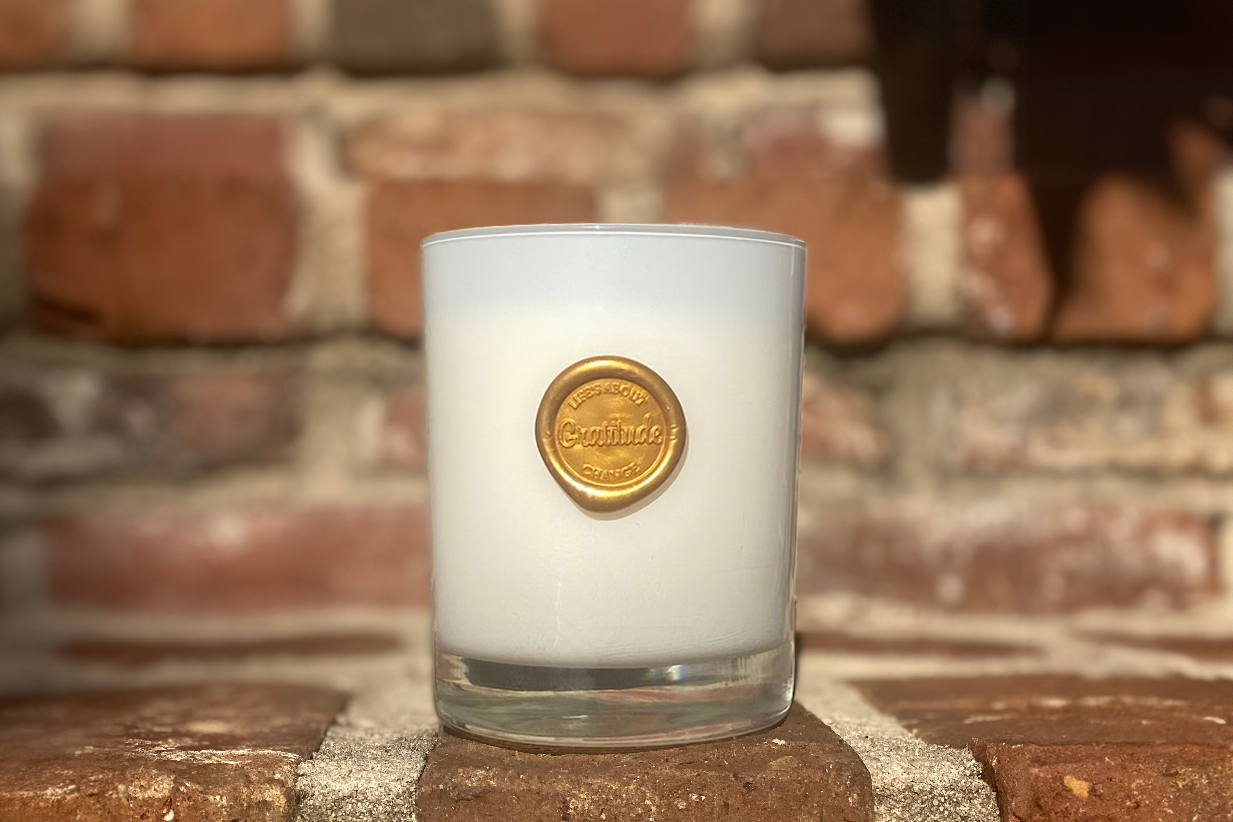 *Preorder* Gratitude